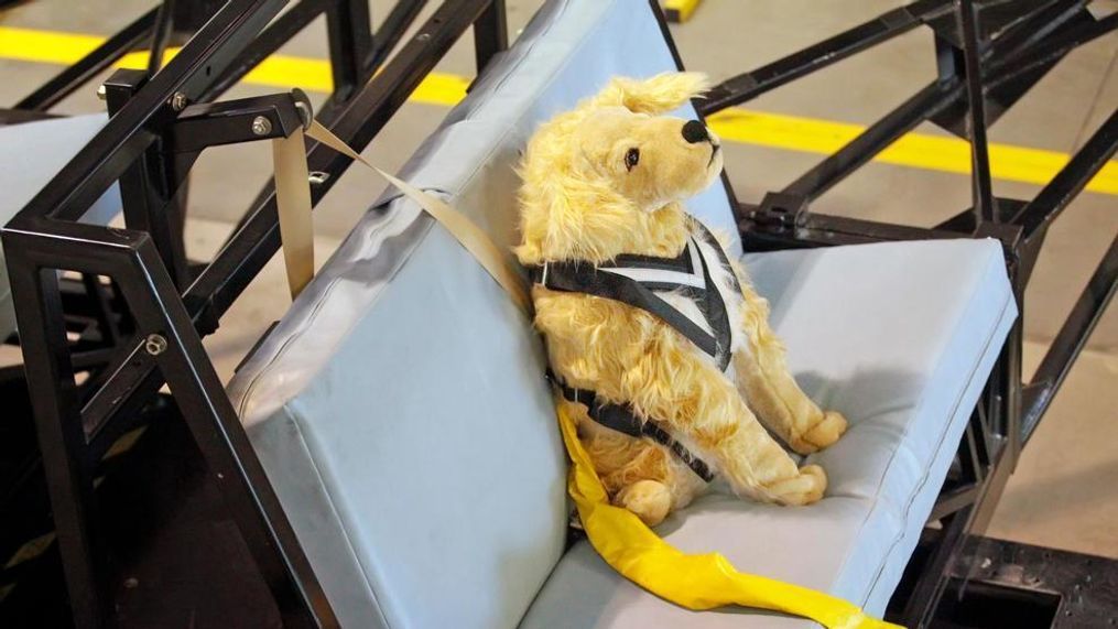 Subaru and the Center for Pet Safety conducted a collaborative crash test study to test the effectiveness of pet harnesses marketed with safety claims. (Image courtesy of Subaru and Center for Pet Safety)