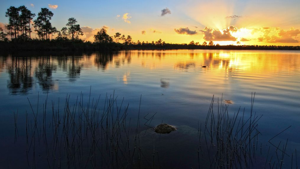 A beautiful sunset at Pine Glades Lake in Everglades National Park, Florida.