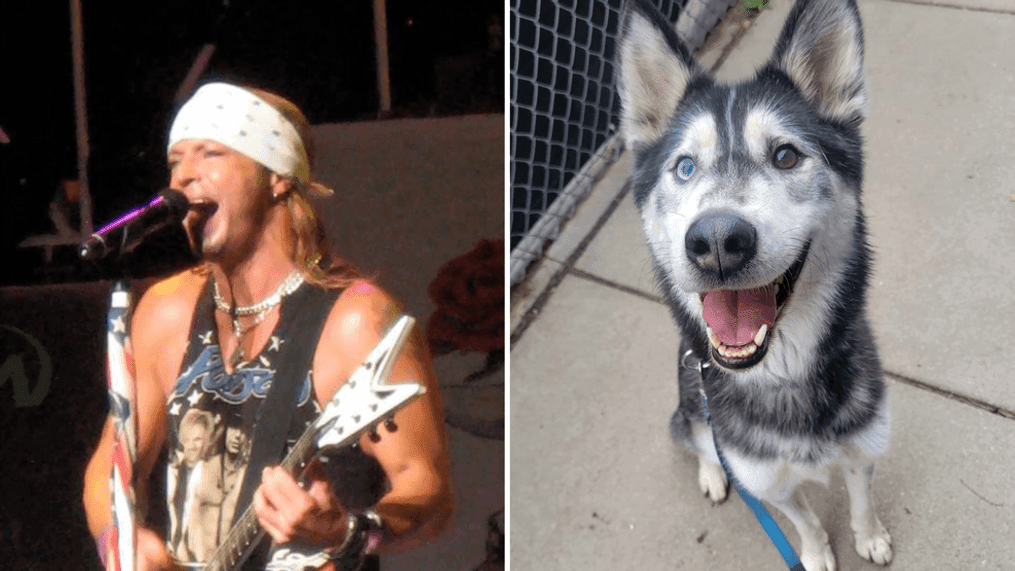 Bret Michaels the rock star saves Bret Michaels the dog (Credit: The National Desk/Nebraska Humane Society)