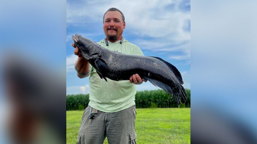 Damien Cook caught a state record-breaking snakehead fish on July 5, 2023. (MDNR)