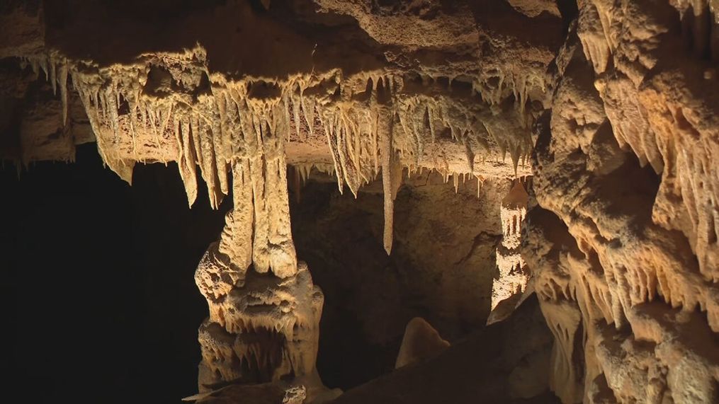 San Antonio's Natural Bridge Caverns to host first-ever underground live concert in newly discovered Ballroom (SBG San Antonio)