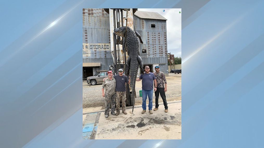 A group of Arkansas men broke a state record Friday night. (Photo: Travis Bearden){p}{/p}