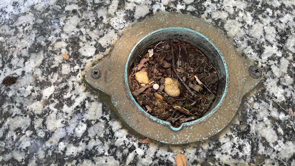 Bronze vases vanishing from gravesites at historic Maryland cemetery (WJLA)