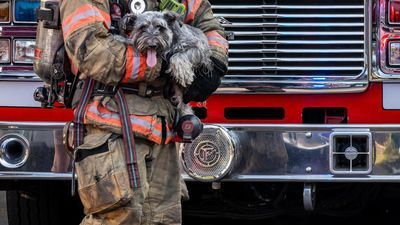 Image for story: Portland Fire and Rescue saves multiple pets from blaze, provide care with special oxygen masks