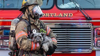 Image for story: Portland Fire and Rescue saves multiple pets from blaze, provide care with special oxygen masks