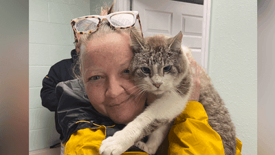 Image for story: Lost and found: Northwest Georgia woman reunited with beloved cat after 7 years