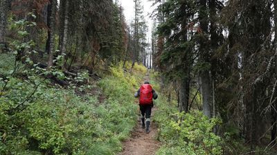 Image for story: Camping chronicles: A guide to camping in U.S. national parks