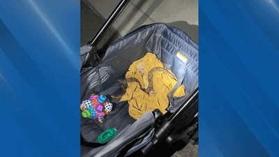 Image for story: Tennessee couple finds copperhead snake curled up in baby wagon