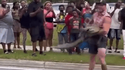 Image for story: MMA fighter vs. Gator: Mike Dragich subdues street-roaming gator barefoot 