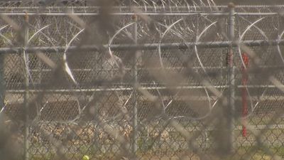 Image for story: More than 100 West Virginia inmates tried to obtain stimulus checks, agency says