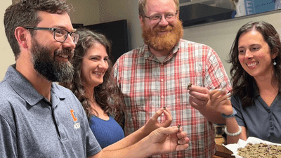 Image for story: University of Illinois educators spice up summer with cicada-themed dishes