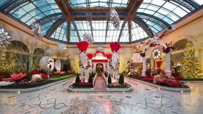 Image for story: Bellagio opens its 2020 holiday conservatory display