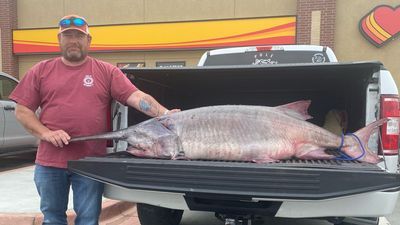 Image for story: Man reels in 120-pound paddlefish in Tennessee, sets new record