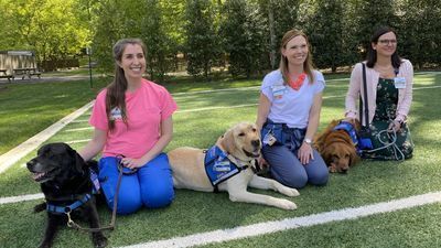 Image for story: Meet 3 pooches promoted to 'chief comfort officer' at Virginia hospital