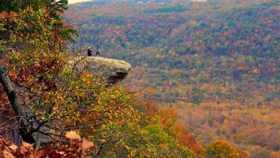 Image for story: Arkansas photographer finds couple after capturing proposal