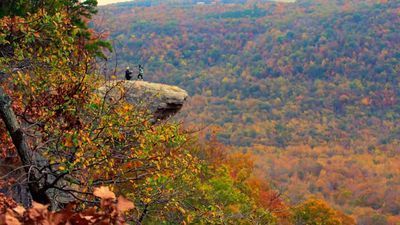 Image for story: Arkansas photographer finds couple after capturing proposal