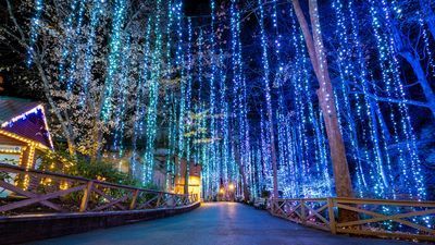 Image for story: Hundreds of holiday drones to light the night sky over Dollywood this Christmas season