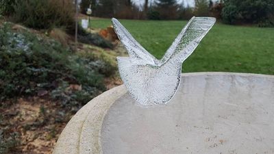 Image for story: Nature's wonder: How did this frozen 'ice bird' appear on this bird bath?
