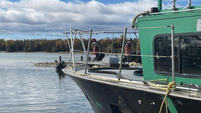 Image for story: Fish leather, fish sausage: 3 Wisconsin companies pledge to use 100% of each fish after catch