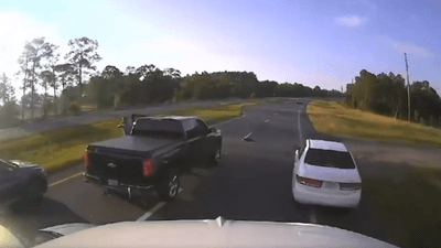 Image for story: VIDEO: Driver stopping for turtle causes chain reaction crash in Florida