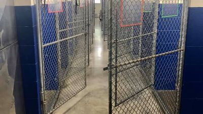 Image for story: A rare sight to celebrate: Tennessee Animal Shelter says it's empty, as of Friday