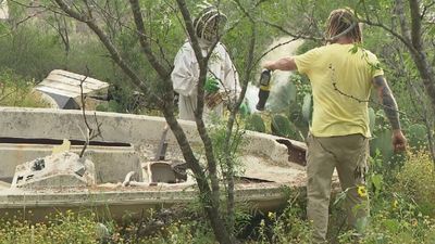 Image for story: Bee careful: Man stung over 400 times; man, hive saved