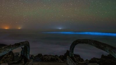 Image for story: Pacific Ocean glows an eerie blue with bioluminescence off Washington coast