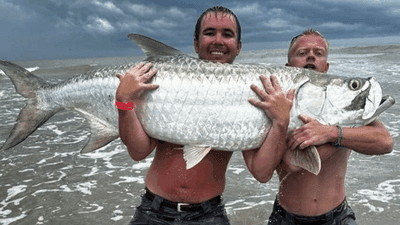 Image for story: Anglers reel in trophy tarpon off South Carolina pier