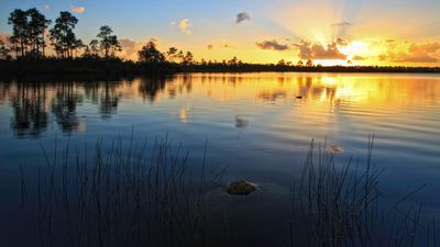 Image for story: Cast a line in all the best fishing spots across the Southeast United States