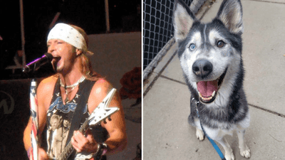 Image for story: Rock star Bret Michaels adopts dog with same name after it gives life-saving blood donation to kitten