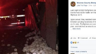 Image for story: Truck carrying chickens overturns, prompts punny Facebook post