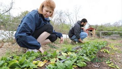 Image for story: Nashville Food Project - A Greener Nashville