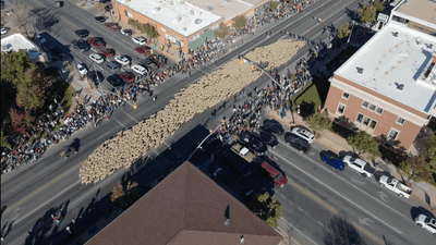 Image for story: PHOTOS: One thousand sheep strut Utah city for annual Heritage Sheep Parade