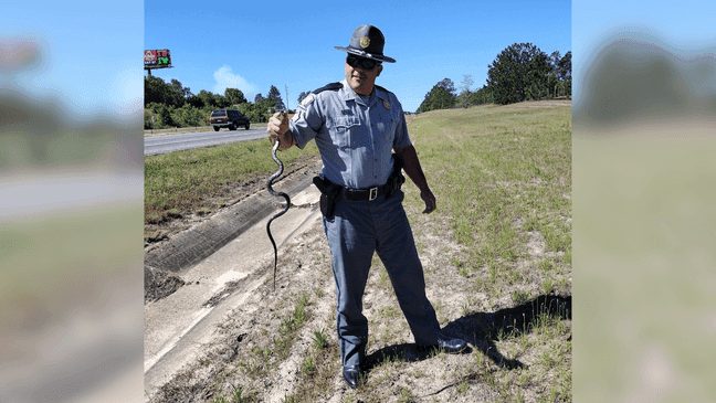 Sergeant Jonathan Oxandaboure posed holding a snake that he captured from a woman's car in Kershaw County on Friday, September 8, 2023. (SCDPS)