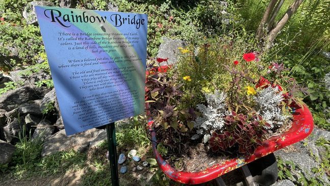 August 2023 - Tucked away in Lake Lure is a Rainbow Bridge, a place where people can go to reflect and remember their beloved pets who have passed on. It's also a place where people can "cry, and then they laugh, and then...giggle when they see the silly things that people have put there," the bridge's creator Amy Wald says. (Photo credit: WLOS Staff)