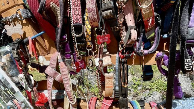 August 2023 - Meghan Danahey recently visited Lake Lure's Rainbow Bridge to reflect on the passing of her beloved pup Rooster, and hang his collar and tag alongside all the others. It's a place where people can "cry, and then they laugh, and then...giggle when they see the silly things that people have put there," the bridge's creator Amy says. (Photo credit: Meghan Danahey)