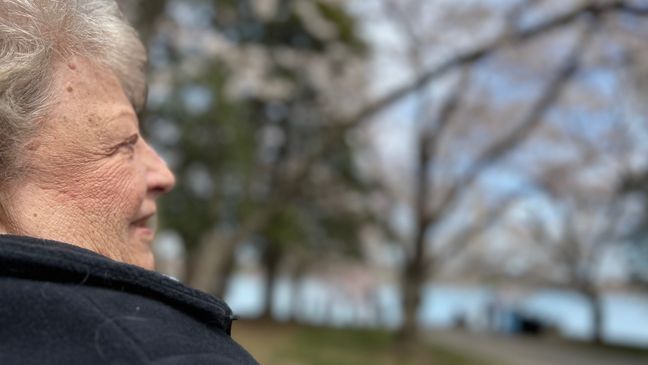 Amid the thousands coming to the Tidal Basin to catch a glimpse of peak bloom, you’ll find Andrea Ronhovde making her yearly pilgrimage. At 84, she's still as mystified by the blooms as ever before (Kevin Kuzminski, 7News)