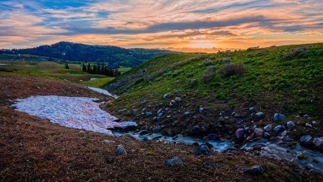 'Watermelon snow' turning Utah mountains red and pink (Courtesy: Brent Haddock).