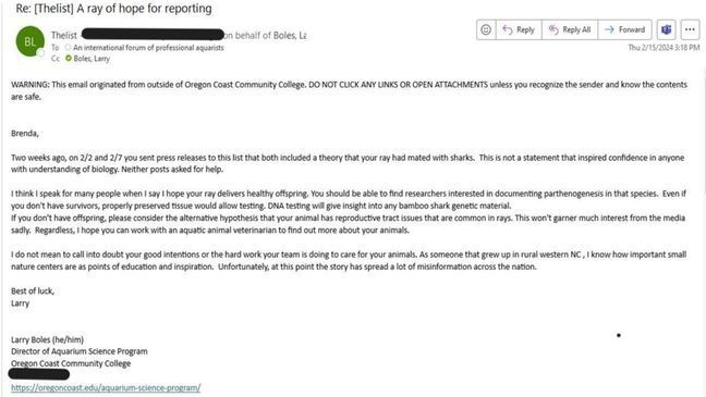 Pictured: Email dated Feb. 15, 2024, to Brenda Ramer, curator and educator of Aquarium and Shark Lab by Team ECCO in Hendersonville, NC, provided by Larry Boles, the director of the Aquarium Science Program at Oregon Coast Community College. Speaking with News 13 on June 4, 2024, Boles said he and other professionals warned Ramer that Charlotte may have reproductive issues. (Courtesy: Larry Boles)