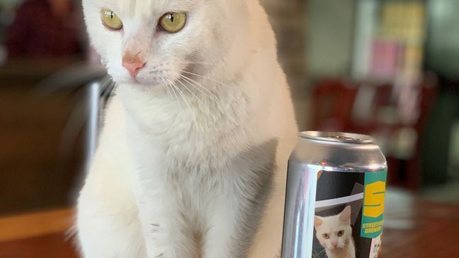 Streetside Brewery in Columbia Tusculum has a new promotion brewing with good beer and good pets-- cans of a new brew featuring adorable adoptable cats and dogs. (WKRC)