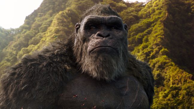 KONG in Warner Bros. Pictures’ and Legendary Pictures’ action adventure “GODZILLA VS. KONG,” a Warner Bros. Pictures and Legendary Pictures release. (Photo: Warner Bros.)