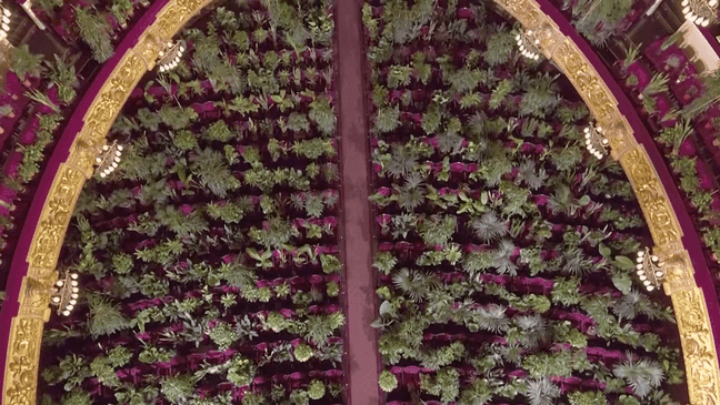 Barcelona's Opera House has reopened and its inaugural performance was to an audience of more than 2,000 plants. (Photo:{&nbsp;}	LiceuOperaBarcelona/YouTube via CNN Newsource)