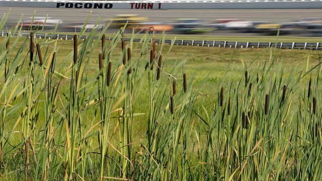 Drivers head through Turn 1 during the NASCAR Cup Series auto race at Pocono Raceway, Sunday, July 30, 2017, in Long Pond, Pa. (AP Photo/Matt Slocum)