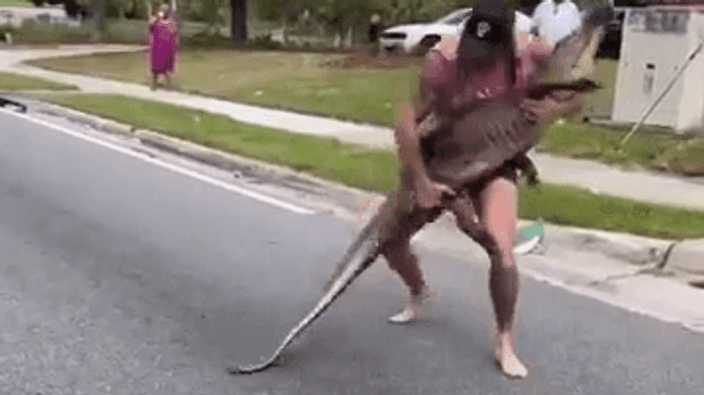 MMA fighter Mike Dragich wrangles an 8-foot alligator in Jacksonville, Florida. (Jacksonville Sheriff's Office)