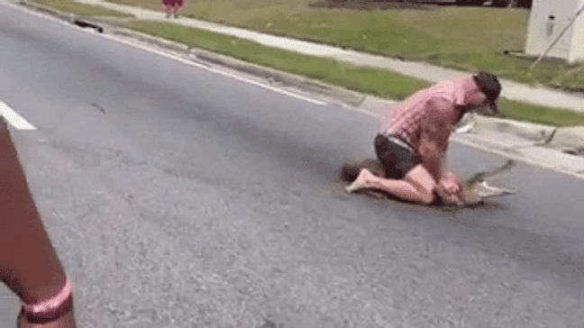 MMA fighter Mike Dragich wrangles an 8-foot alligator in Jacksonville, Florida. (Jacksonville Sheriff's Office)