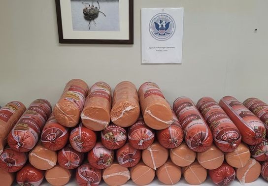 Image for story: Woman attempts to smuggle over 700 pounds of bologna