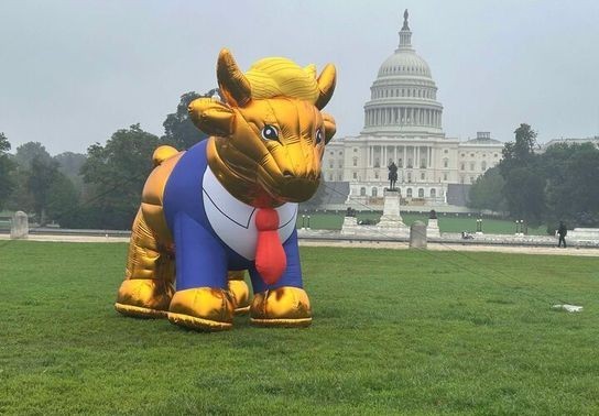 Image for story: SEE IT: Trump-like golden calf in the National Mall protests upcoming evangelical summit