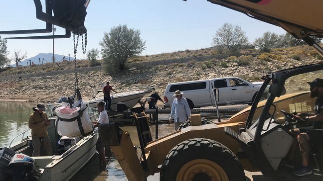 The ichthyosaur block being unloaded by forklift at the Lucerne Valley Marina near Manila, Utah. (Photo: Utah State Parks){p}{/p}