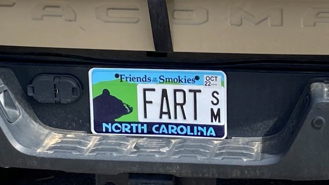 March 13, 2022 - An Asheville woman's clash with North Carolina's Department of Motor Vehicles to keep her custom license plate, which reads "FART," may have stalled as a group behind the effort to help her keep it met Sunday, March 13 at an Asheville park.{&nbsp;} (Photo credit: WLOS Staff)