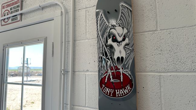 Tony Hawk's gift to{&nbsp;}Bruce, the beloved cow, and his owner and social media influencer, Elias Herrera. (KBOI)